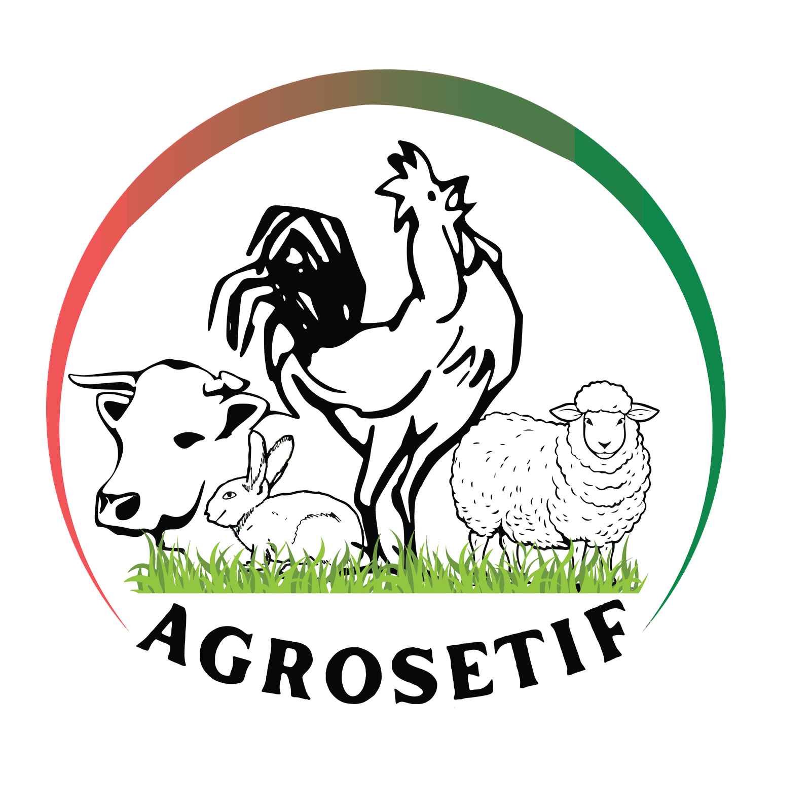 AGROSETIF AVI 2026