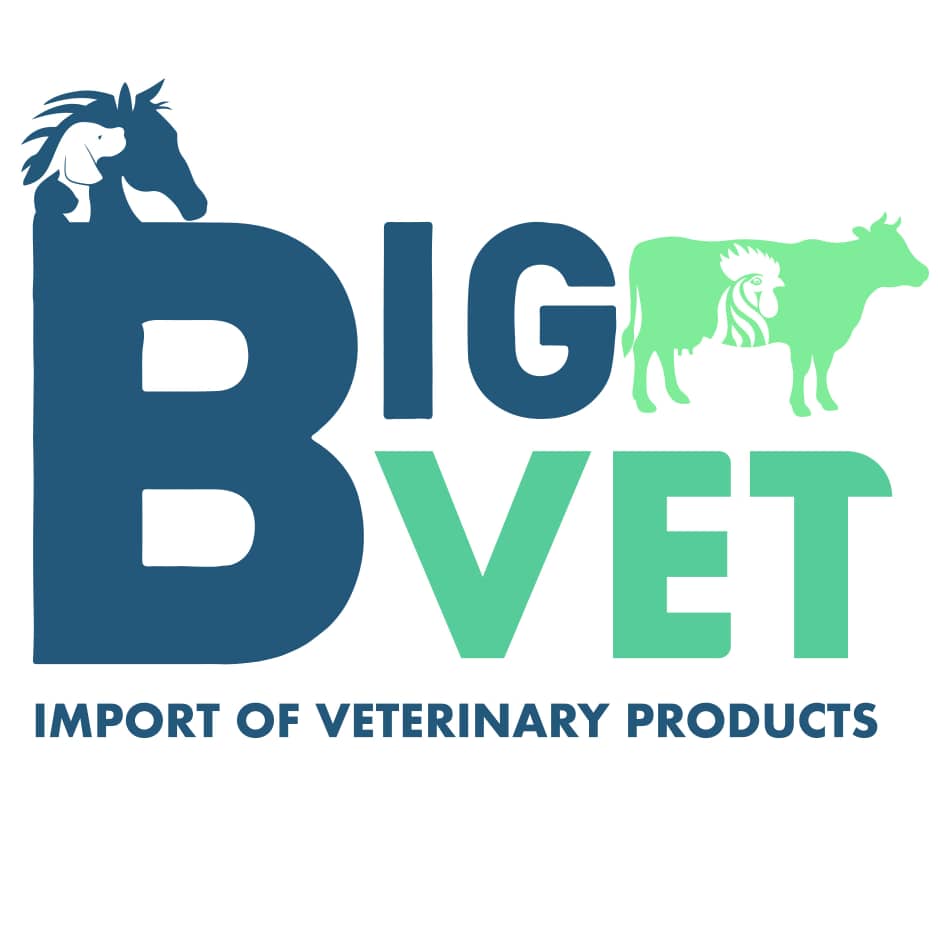 bigvet