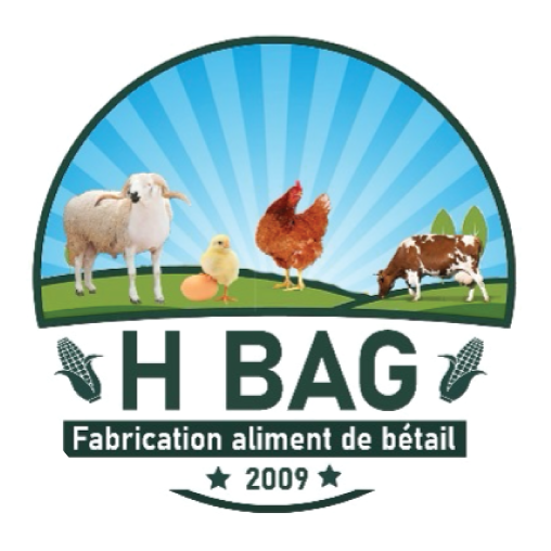 H BAG