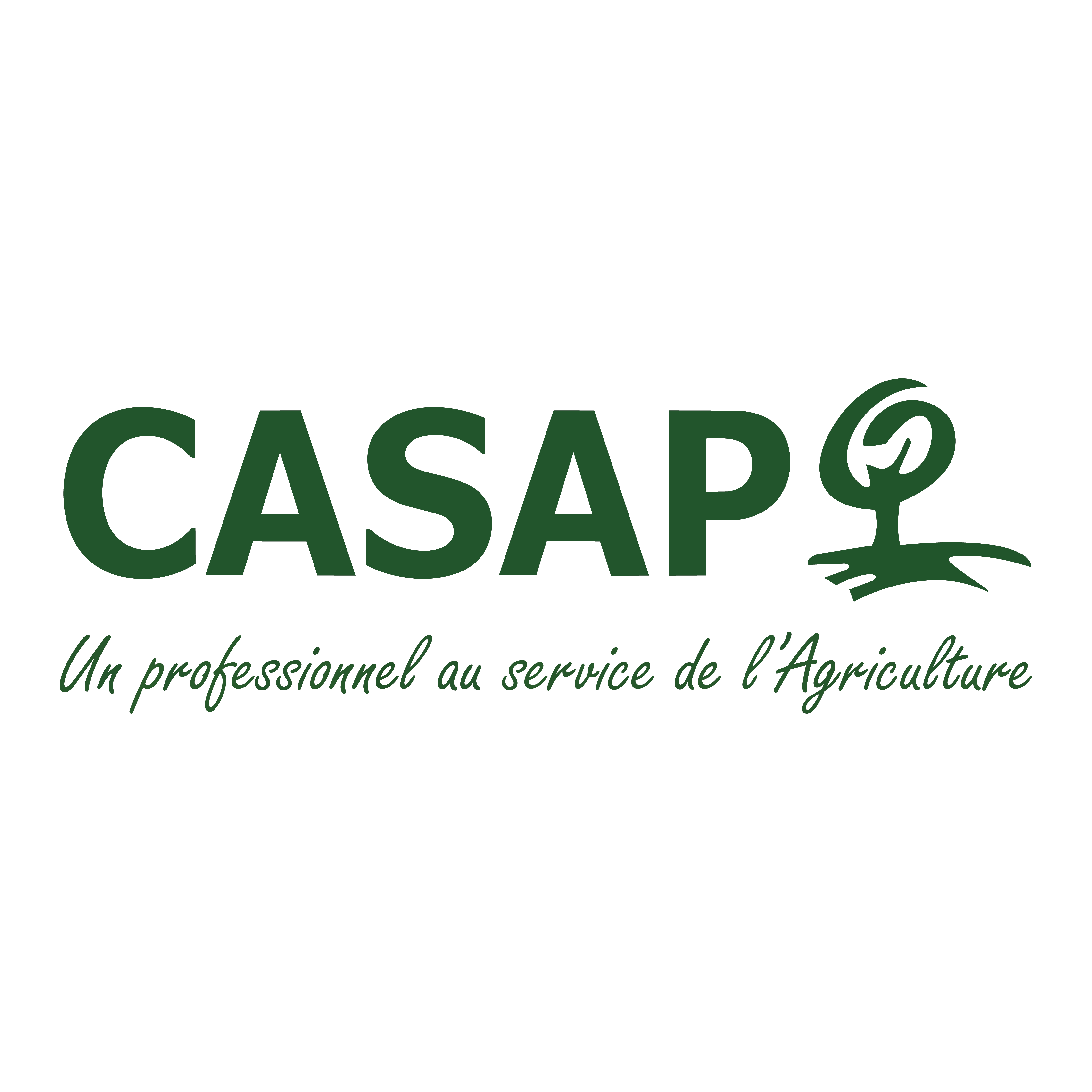 Sarl CASAP