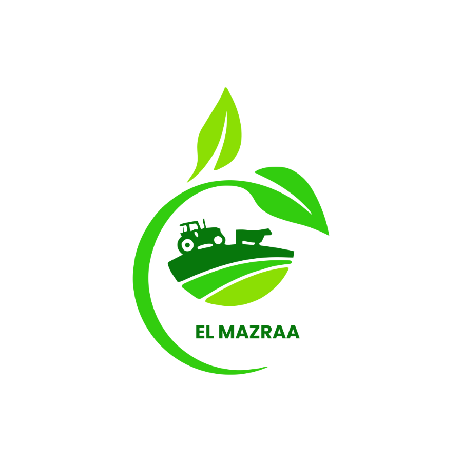 EL Mazraa