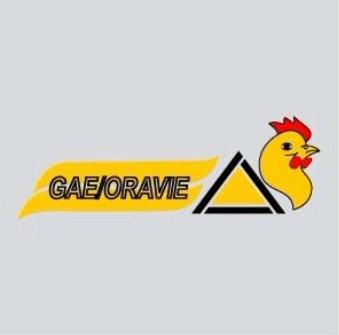 GAE ORAVIR